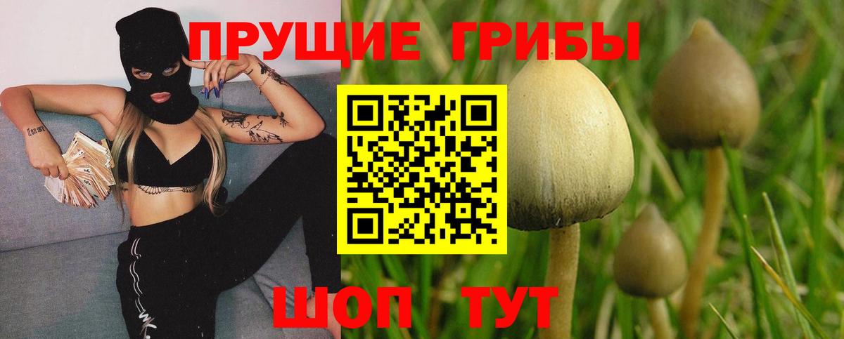 Котельники  Галлюциногенные грибы Cubensis  Галлюциногенные грибы Psilocybe  Вход с VPN 